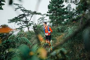 BIB: 
                            <button type="button" onclick="openModal(25259051)" class="btn btn-primary btn-sm float-right btn-popup" data-toggle="modal" data-target=".modal-high-quality">
                        <i class="fas fa-shopping-cart"></i> Add to Cart
                    </button>
                                            <button type="button" onclick="isThisMe(25259051, true)" class="btn btn-success btn-sm float-right btn-popup btn-isme hidden" data-toggle="tooltip" data-placement="bottom" title="นี่คือรูปของคุณใช่ไหม คลิกที่นี่เพื่อเอาเข้าอัลบั้ม">
                        <i class="fas fa-plus"></i> Add to album
                    </button>
                    <button type="button" onclick="isThisMe(25259051, false)" class="btn btn-warning btn-sm float-right btn-popup btn-isnotme hidden">
                        <i class="fas fa-ban"></i> Remove from album
                    </button>